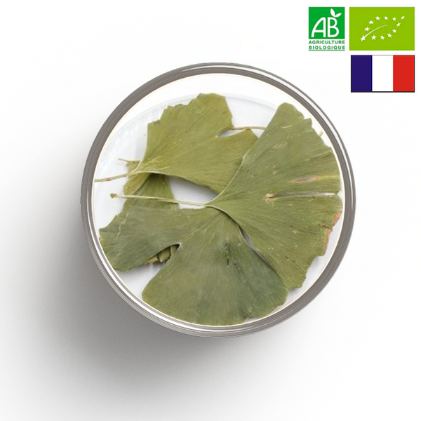 GINKGO Hoja BIO - Origen FRANCIA