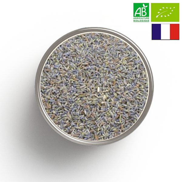 flor de LAVANDA BIO - Origen FRANCIA