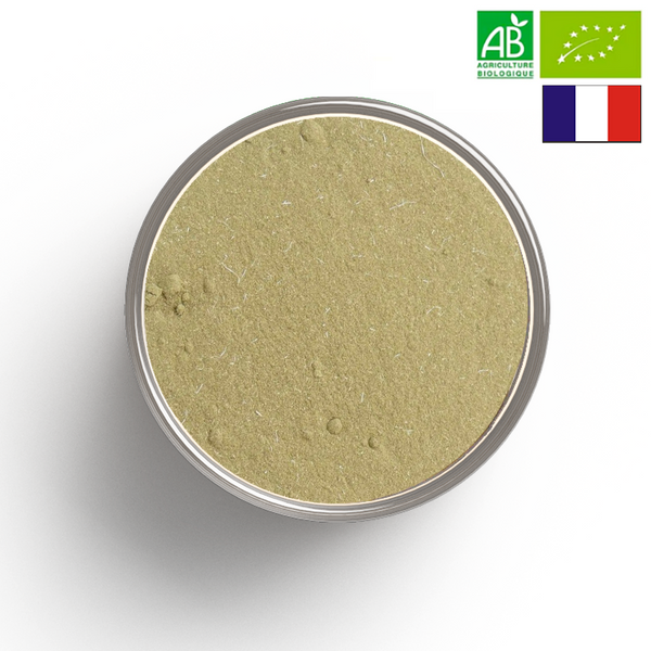 ARTICHAUT hoja en polvo BIO - Origen FRANCIA