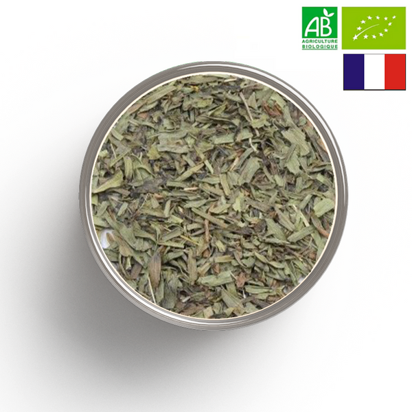 ESTRAGON hoja BIO - Origen FRANCIA