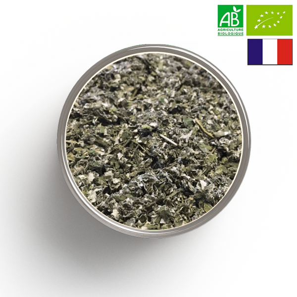 FRAMBOISER hoja cortada BIO - Origen FRANCIA